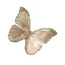 Profile picture of eve