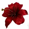 Profile picture of Wadeen